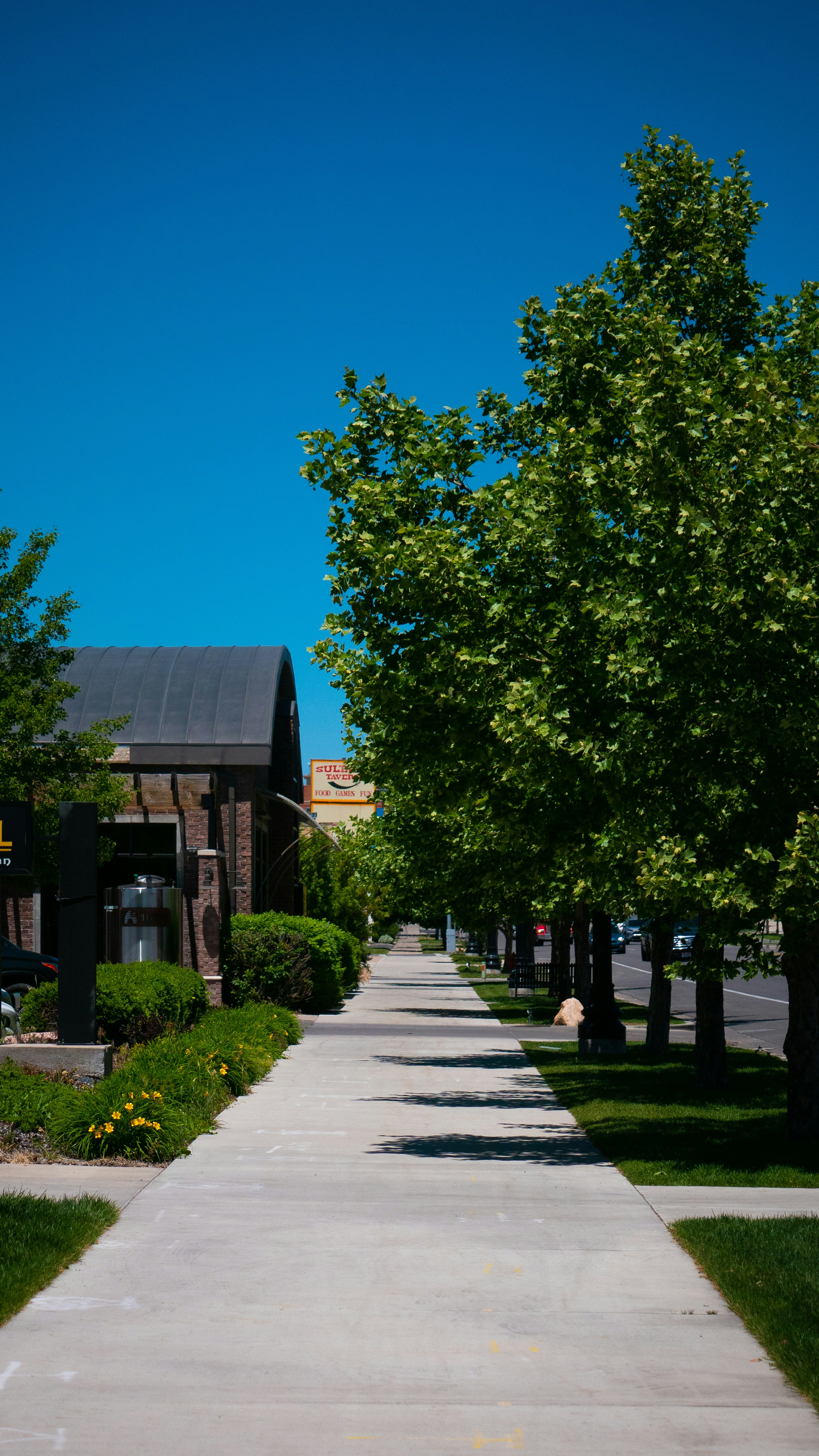 Professional commercial landscape maintenance and grounds care by EC Landscaping