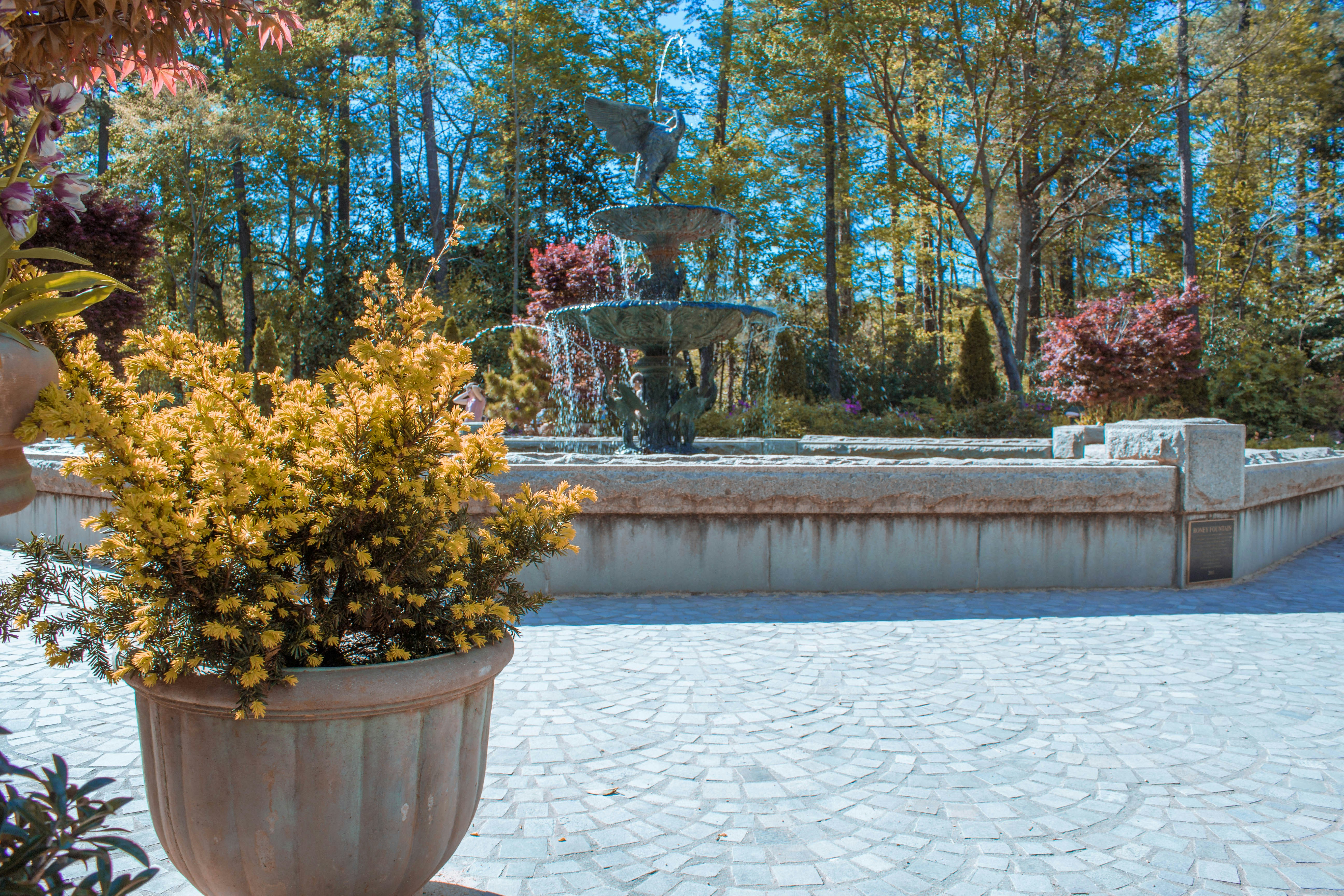 Outdoor paver patio design and installation