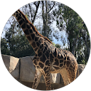 Big Changes profile picture
