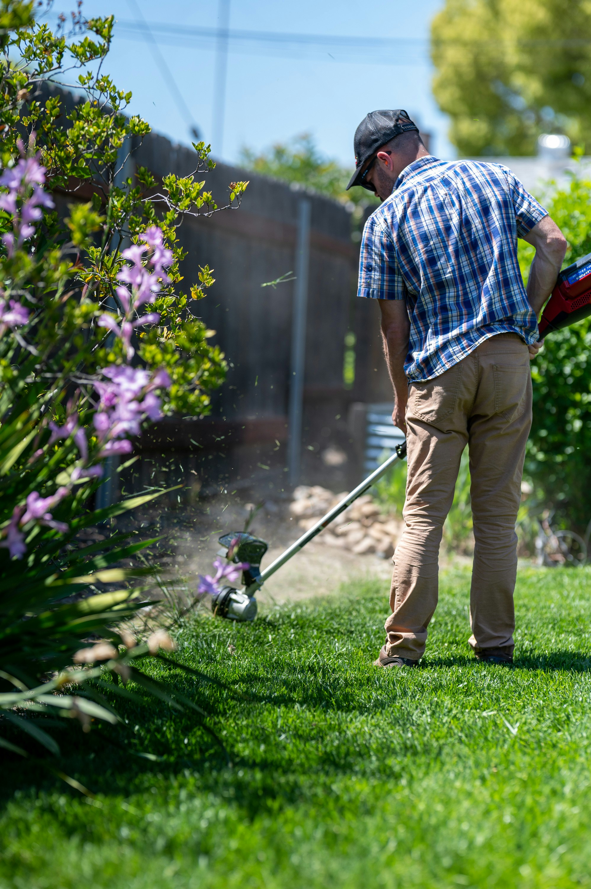 Professional landscape installation